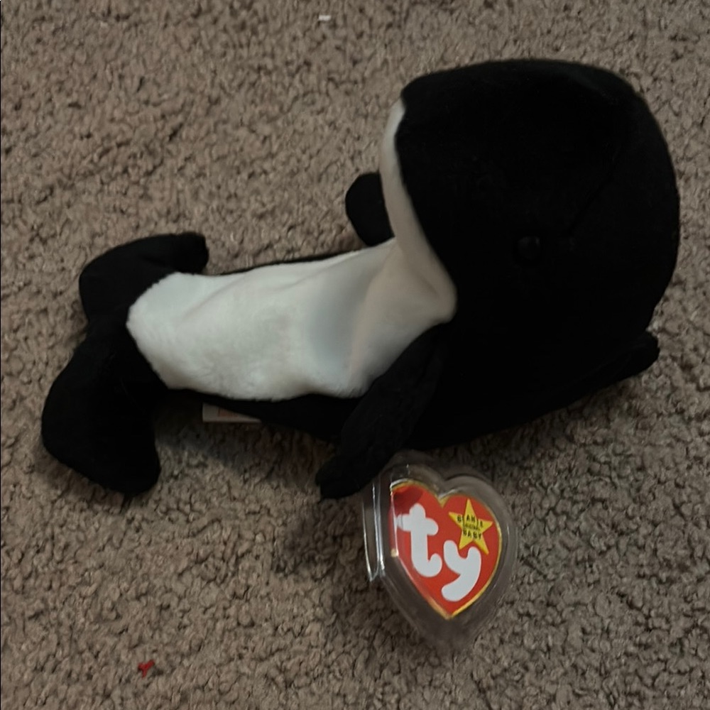 Waves the wale- misnamed as echo the dolphin on tag